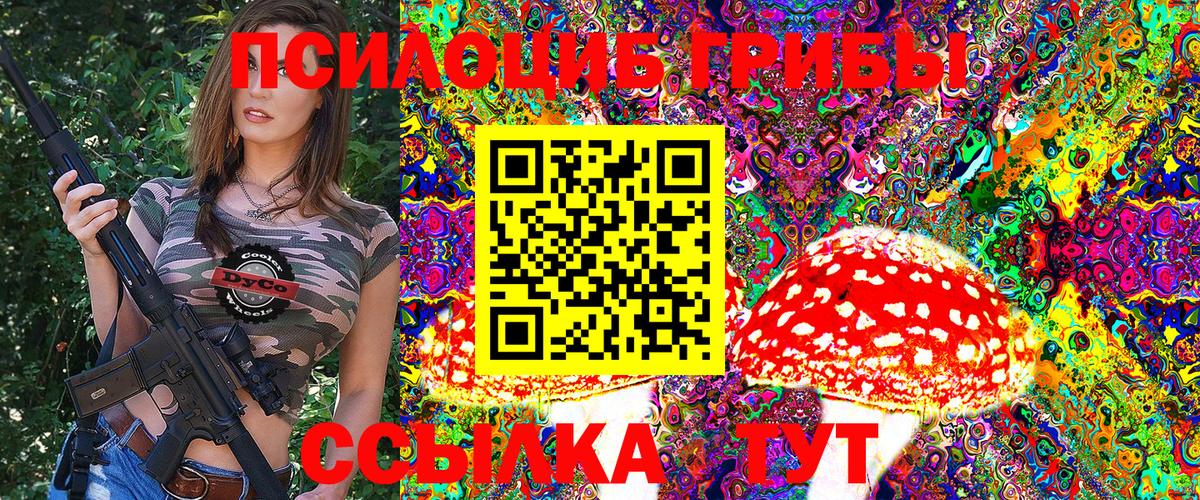 Галлюциногенные грибы Psilocybe  Вход с VPN  Галлюциногенные грибы Cubensis  Холмск 