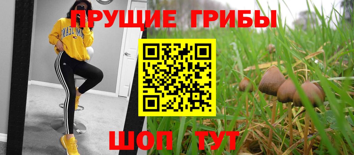 Псилоцибиновые грибы Magic Shrooms Холмск